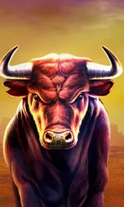 Black Bull